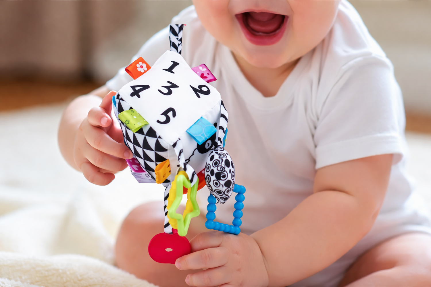 Sensory & Activity Toys