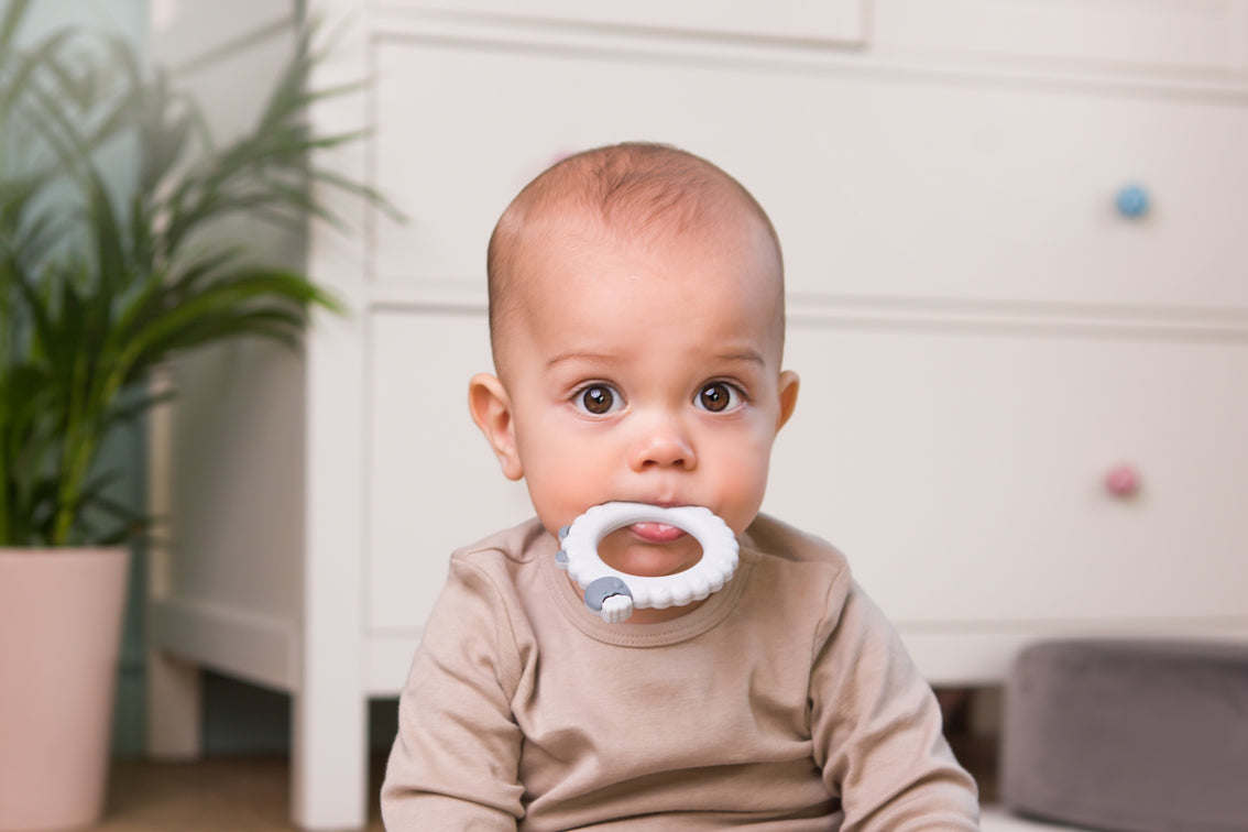 GiliGums – Sheep Teether