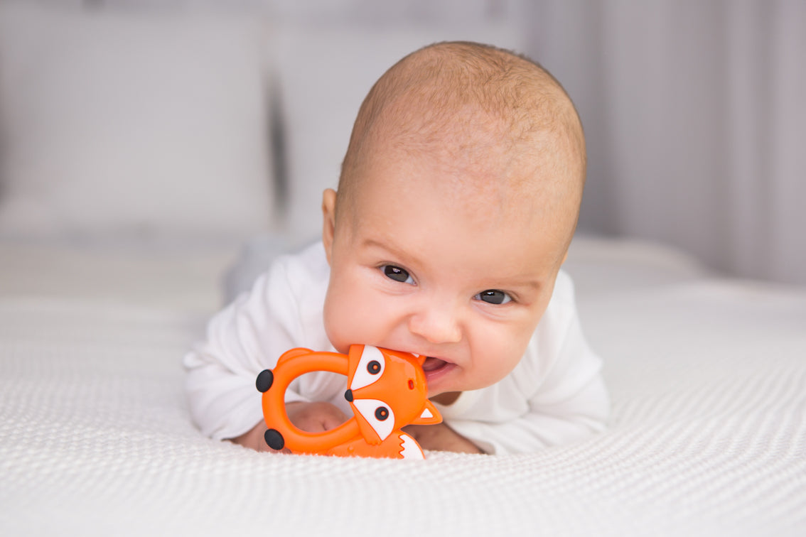 GiliGums – Fox Silicone Baby Teether