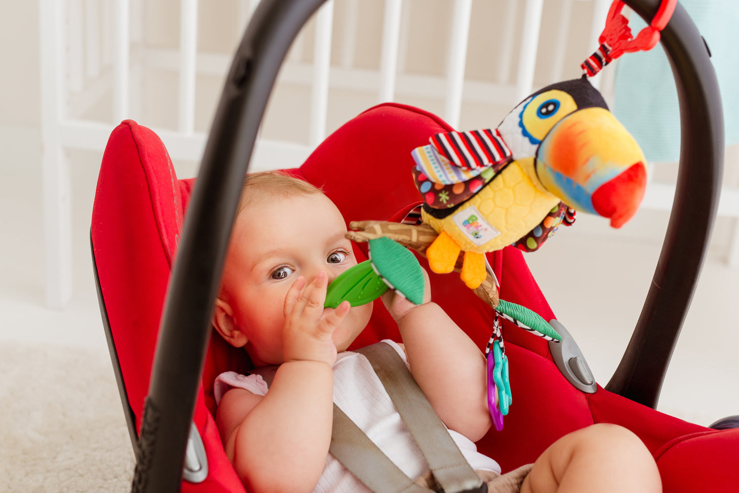 Balibazoo - Iwo The Toucan - Sensory Toy & Teether