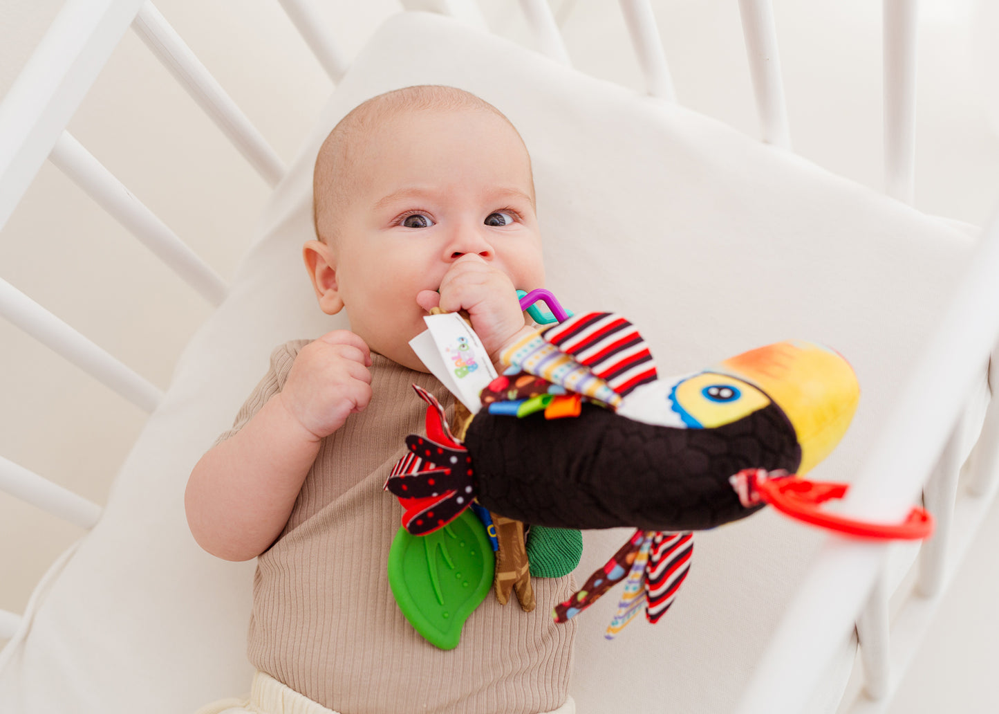 Balibazoo - Iwo The Toucan - Sensory Toy & Teether