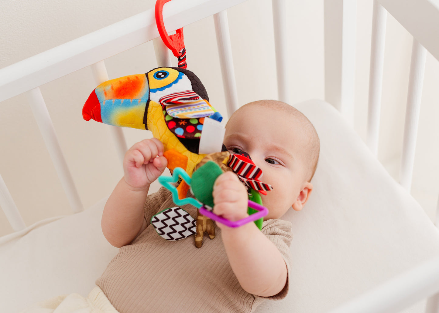 Balibazoo - Iwo The Toucan - Sensory Toy & Teether