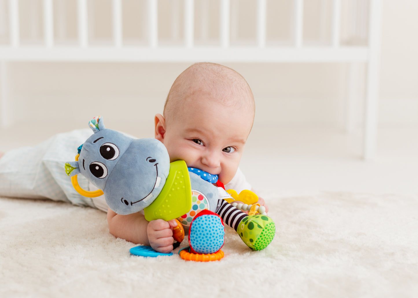 Balibazoo - Hippo Hipolit - Sensory Activity Toy