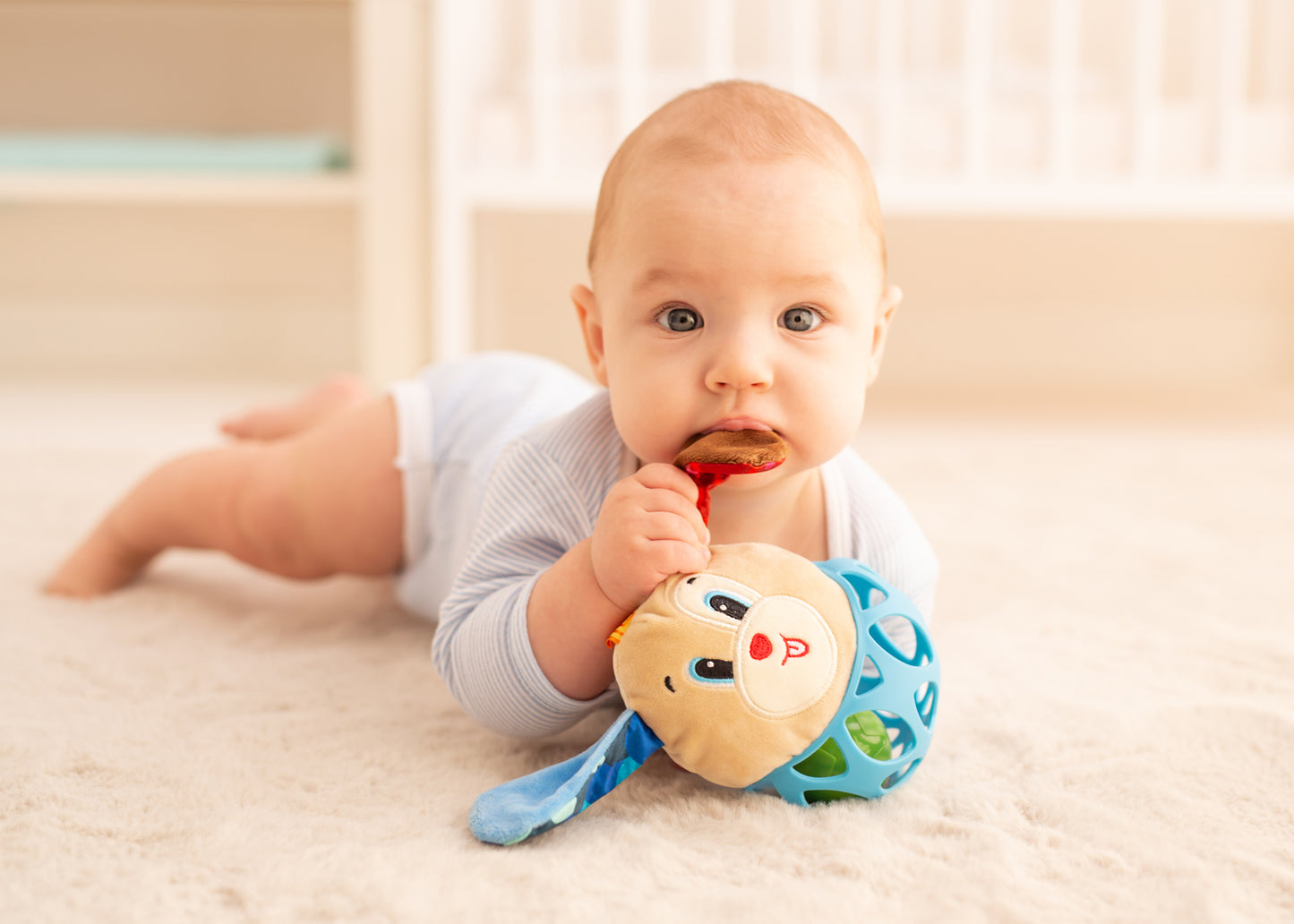 Balibazoo - Dog Rattle - Sensory Ball Toy