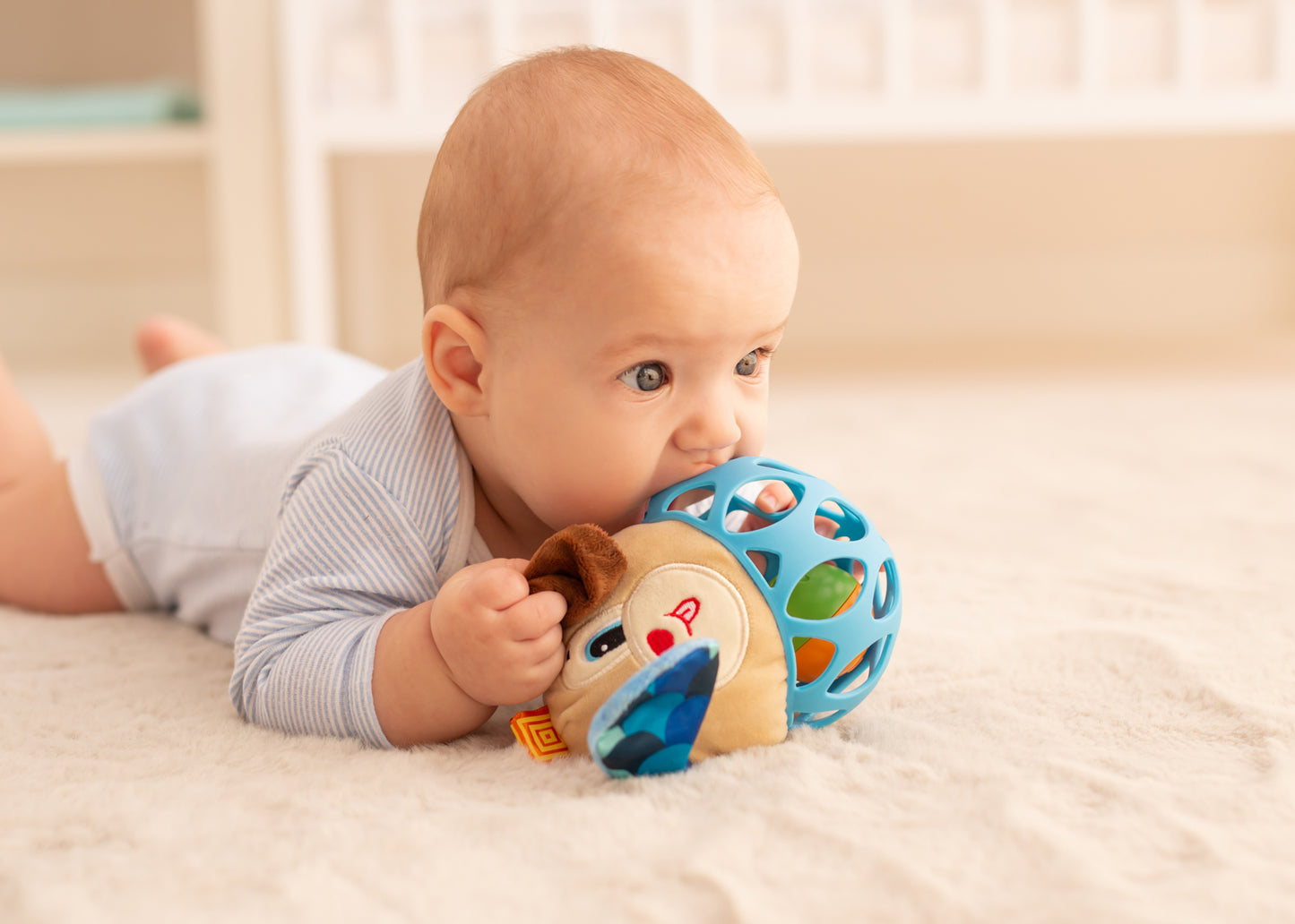 Balibazoo - Dog Rattle - Sensory Ball Toy