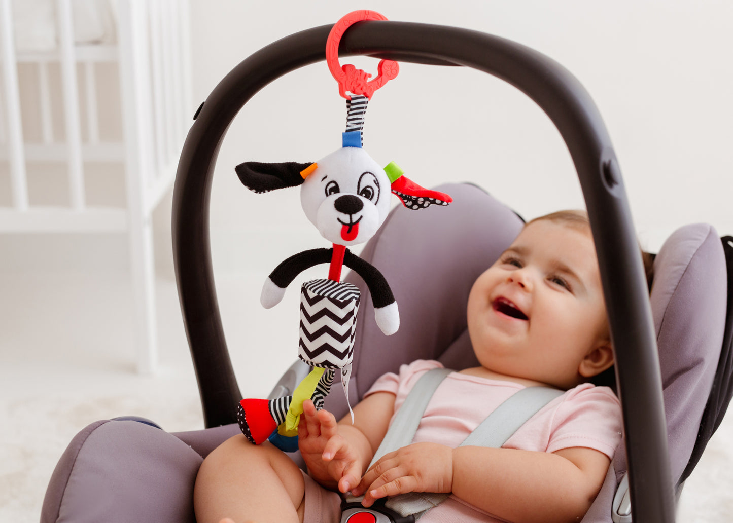 Balibazoo - Pedro Dog Sensory Activity Toy