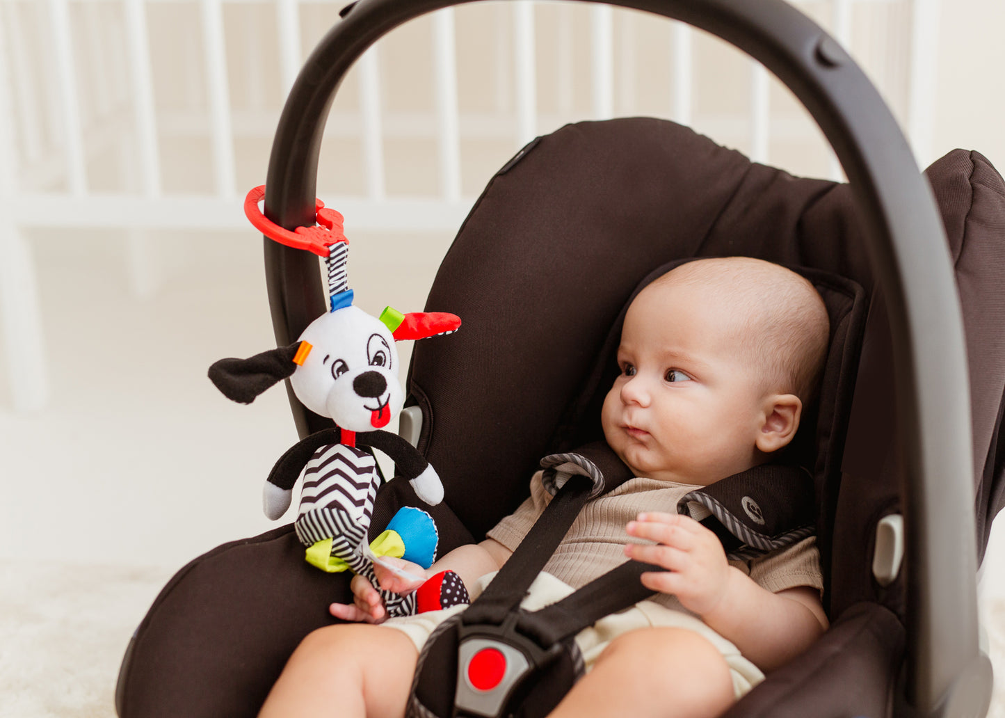 Balibazoo - Pedro Dog Sensory Activity Toy