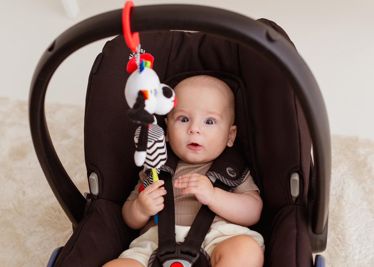 Balibazoo - Pedro Dog Sensory Activity Toy