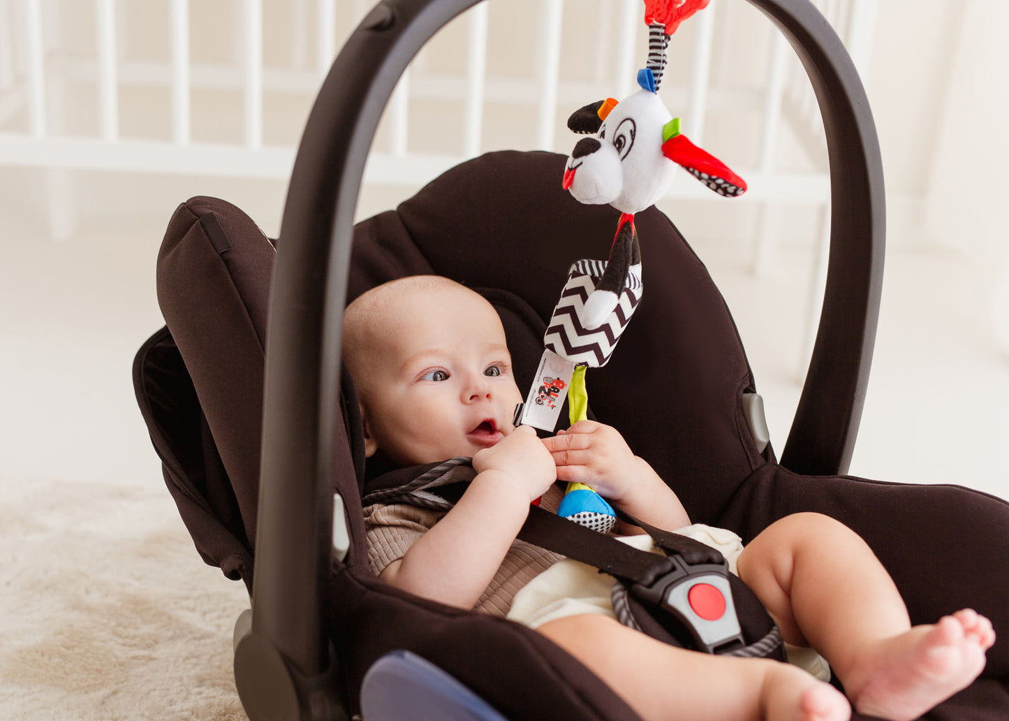 Balibazoo - Pedro Dog Sensory Activity Toy