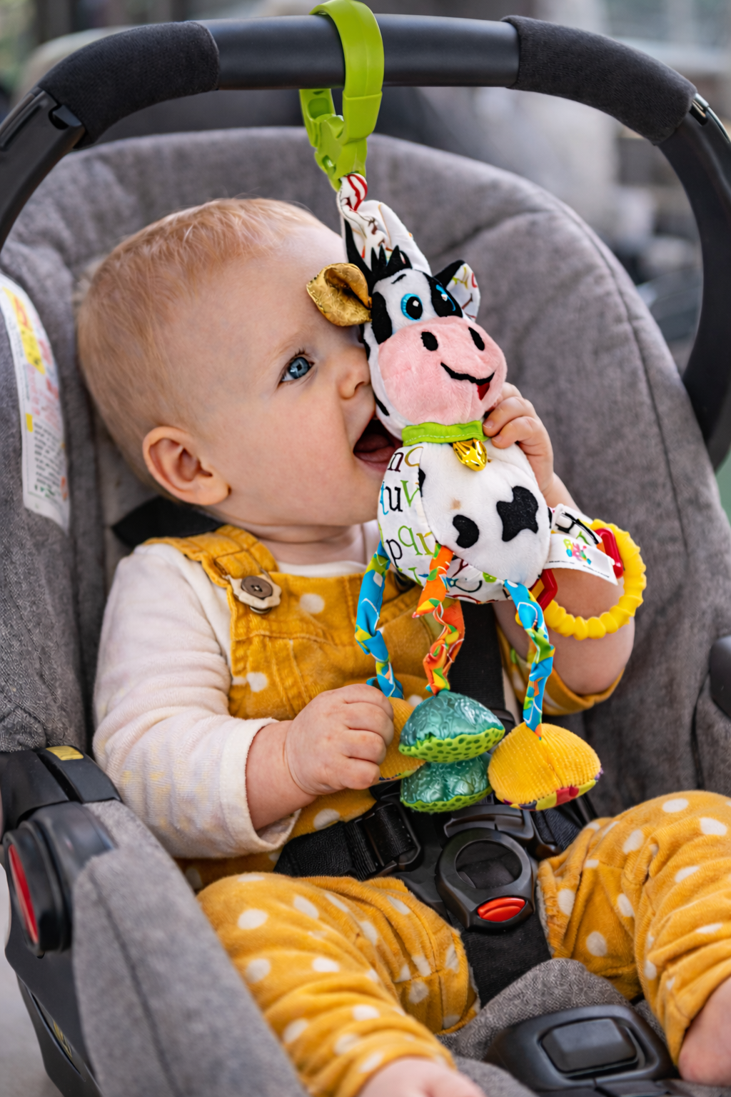 Balibazoo–Caesar The Cow Clip-On Hanging Toy